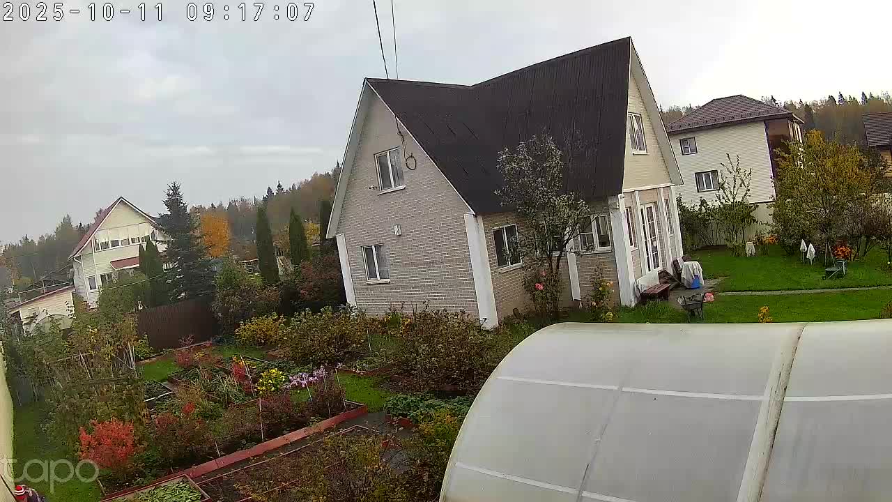 Фото с камеры